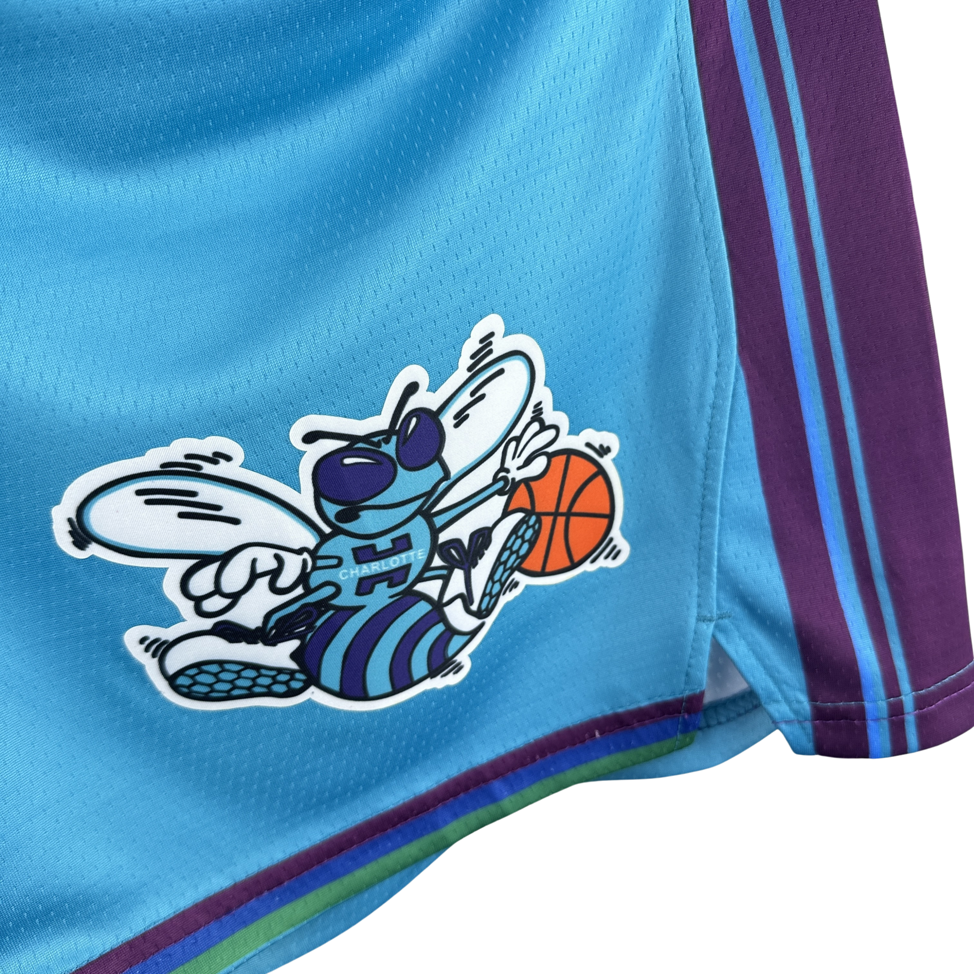 Short Jordan NBA Charlotte Hornets - imagem 4