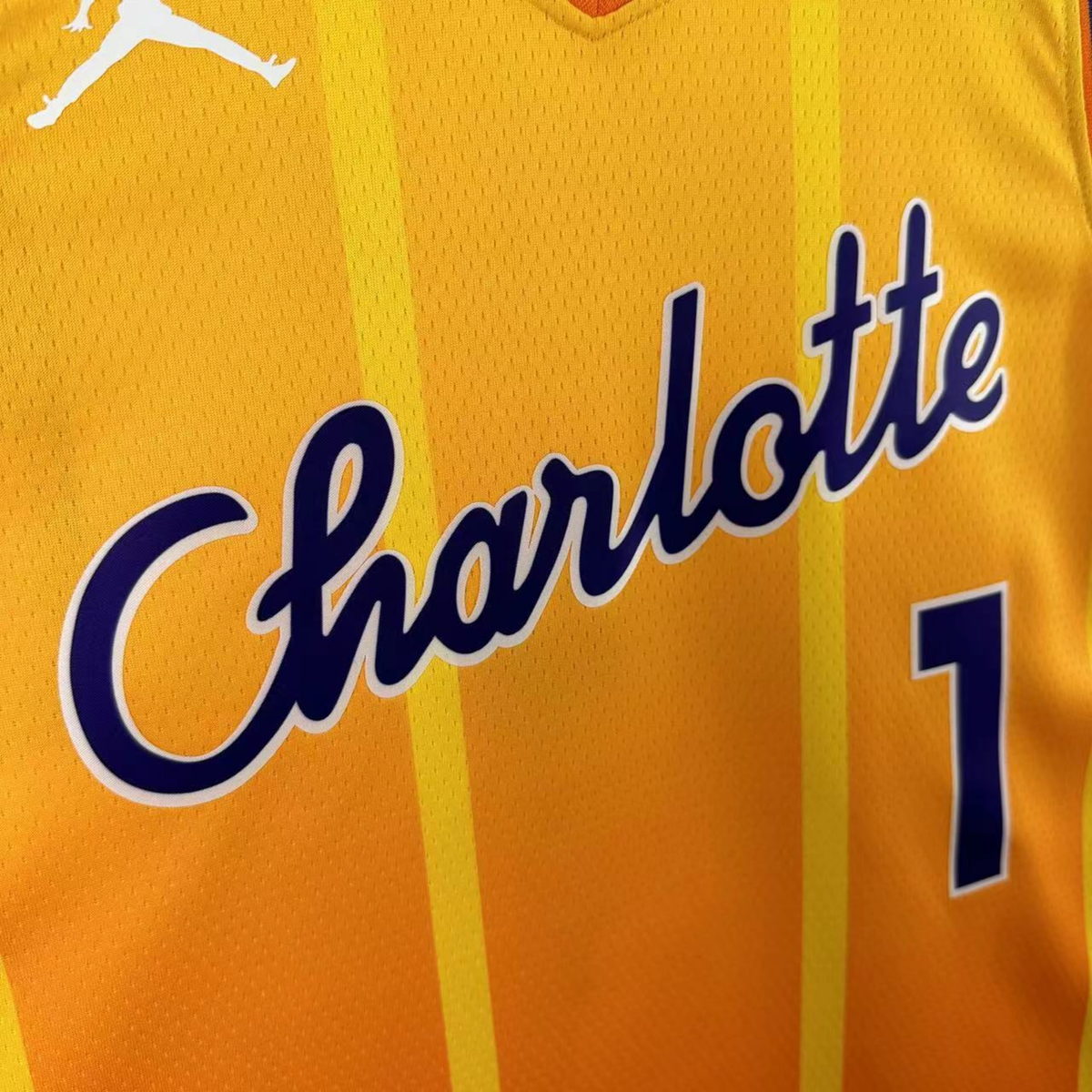 Camisa Regata Jordan NBA Charlotte Hornets 2025/26 - imagem 4