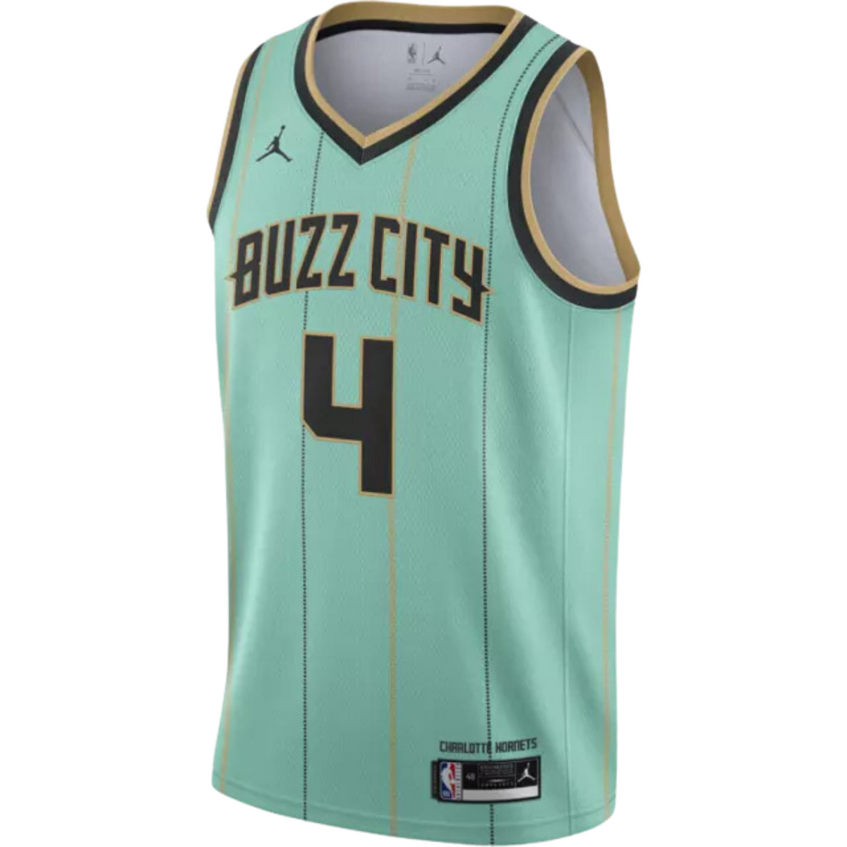 Camisa Regata Jordan NBA Charlotte Hornets City Edition 2020/21 - imagem 1