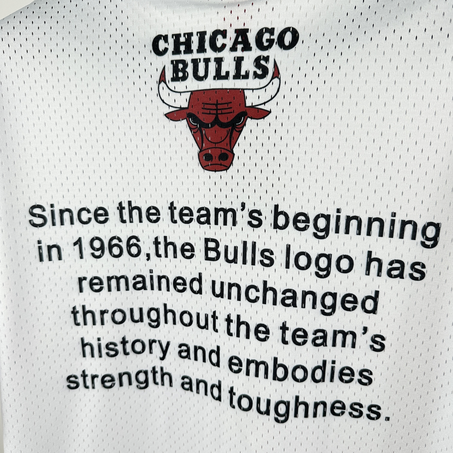 Camisa NBA Chicago Bulls Mitchell & Ness Hardwood Classics Vintage - imagem 4