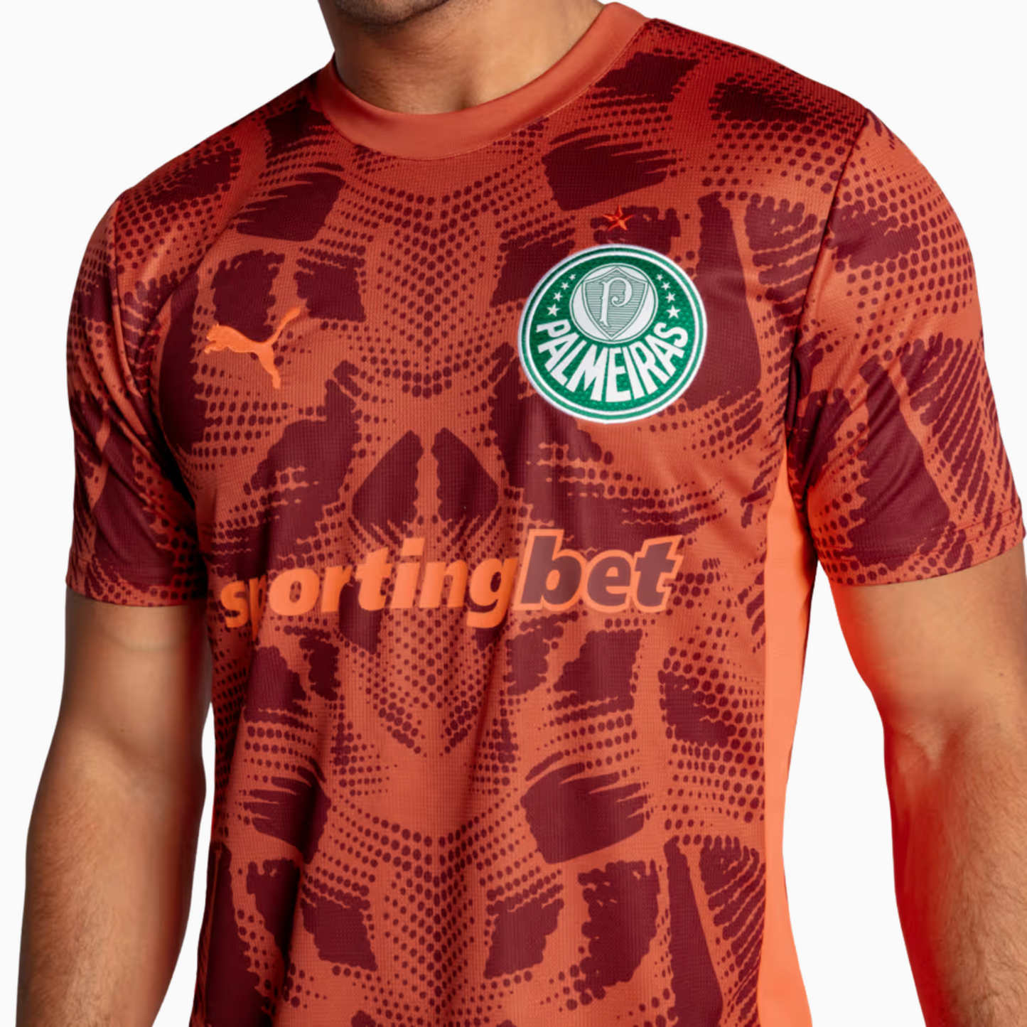 Camisa Goleiro Palmeiras 2025/26 II – Torcedor — imagem 4