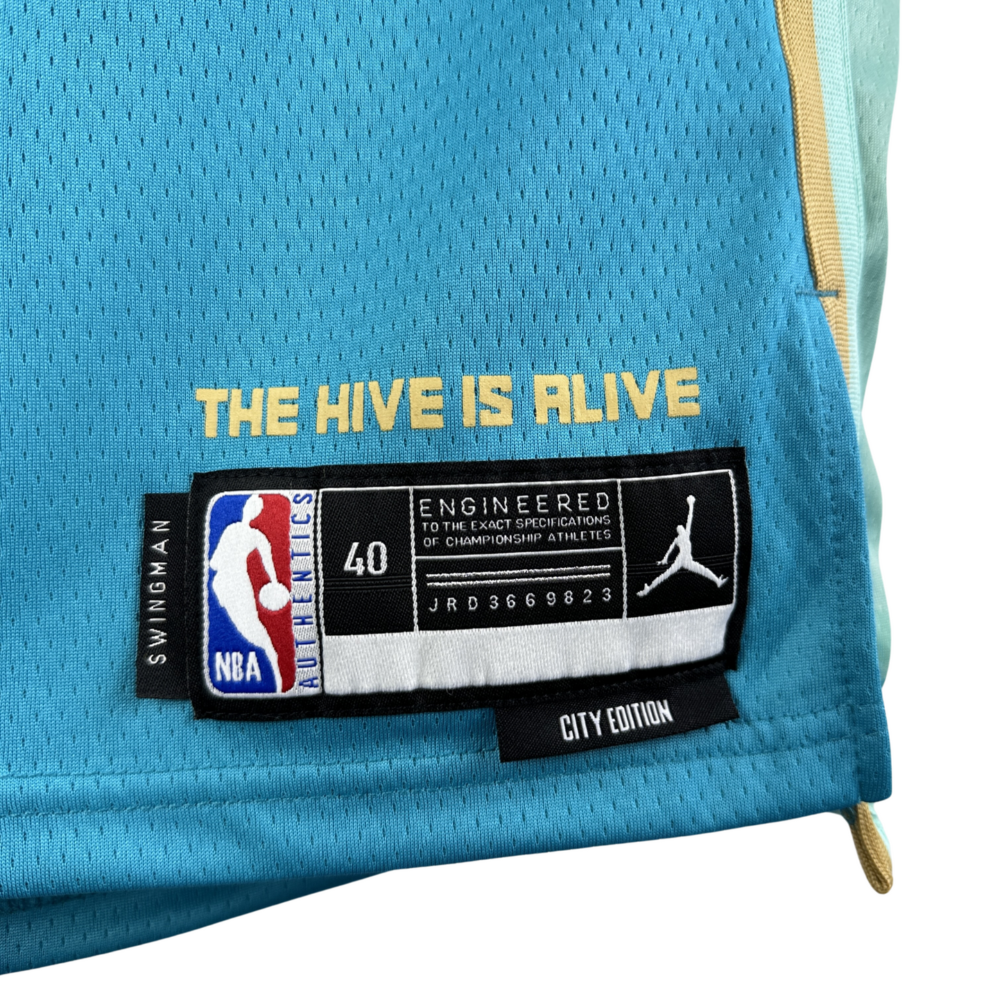 Camisa Regata Jordan NBA Charlotte Hornets City Edition 2023/24 - imagem 5