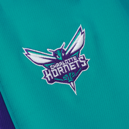 Conjunto Jordan NBA Charlotte Hornets - imagem 8