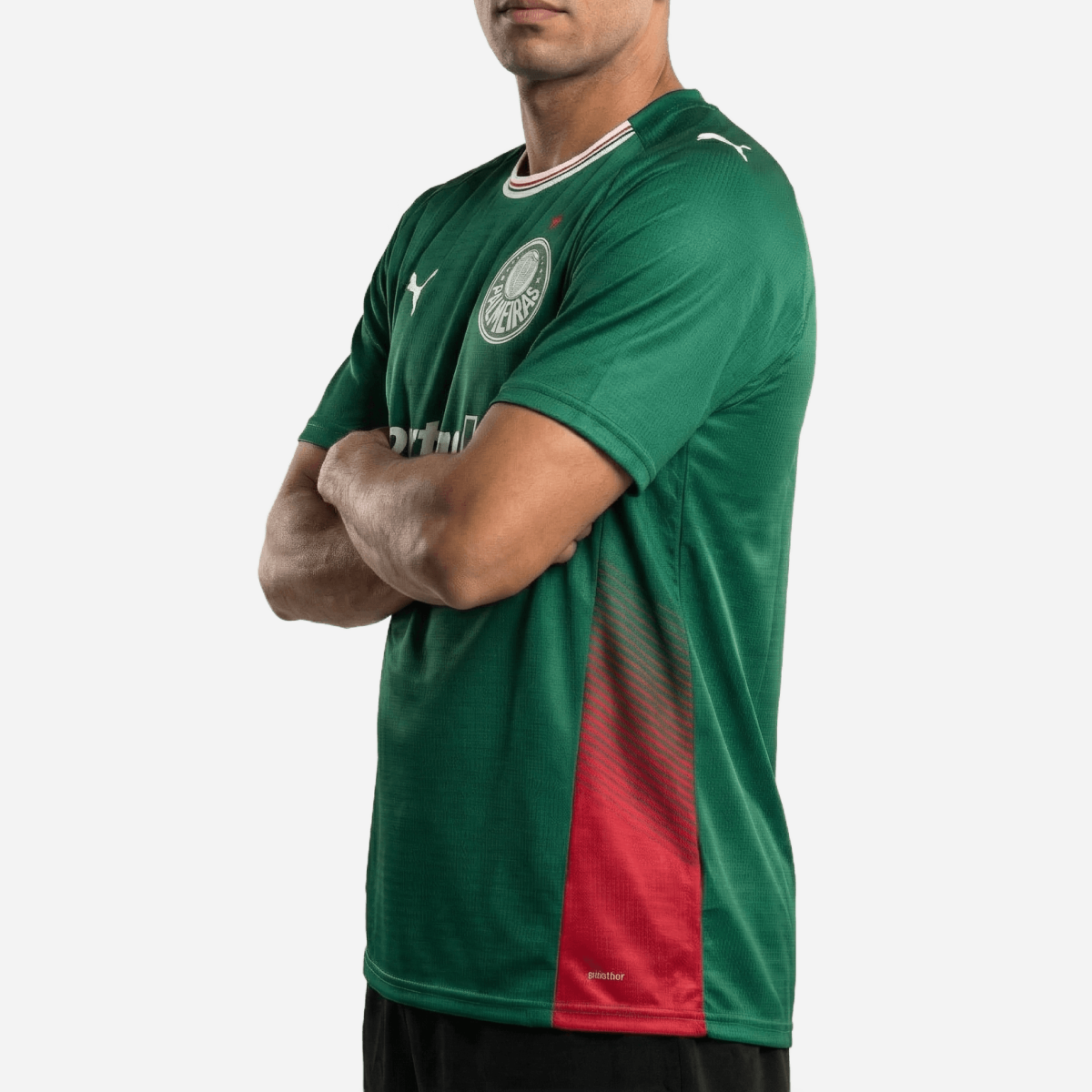 Camisa Puma Palmeiras 2026/27 I Torcedor — imagem 3