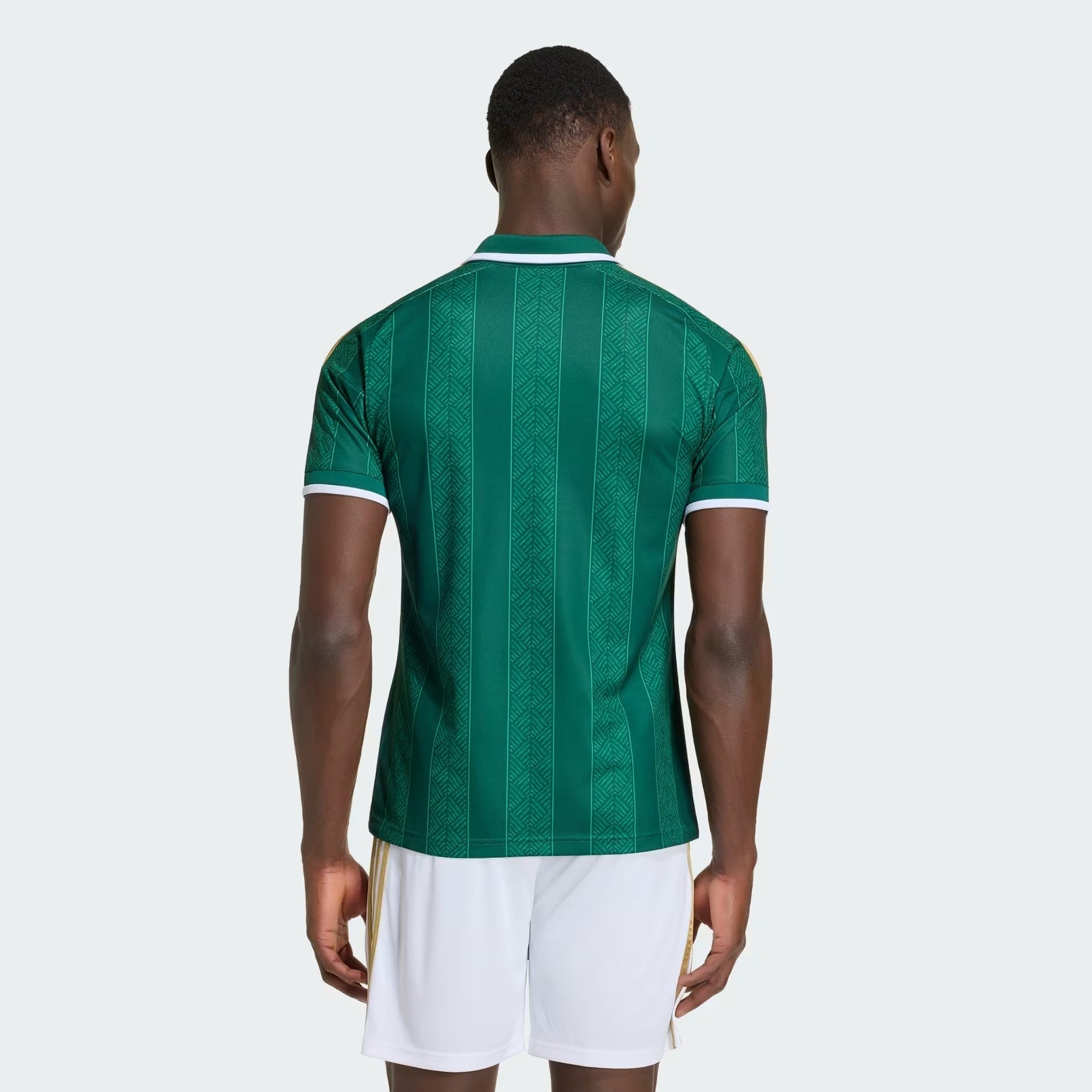 Camisa África do Sul 2026/27 I — imagem 2