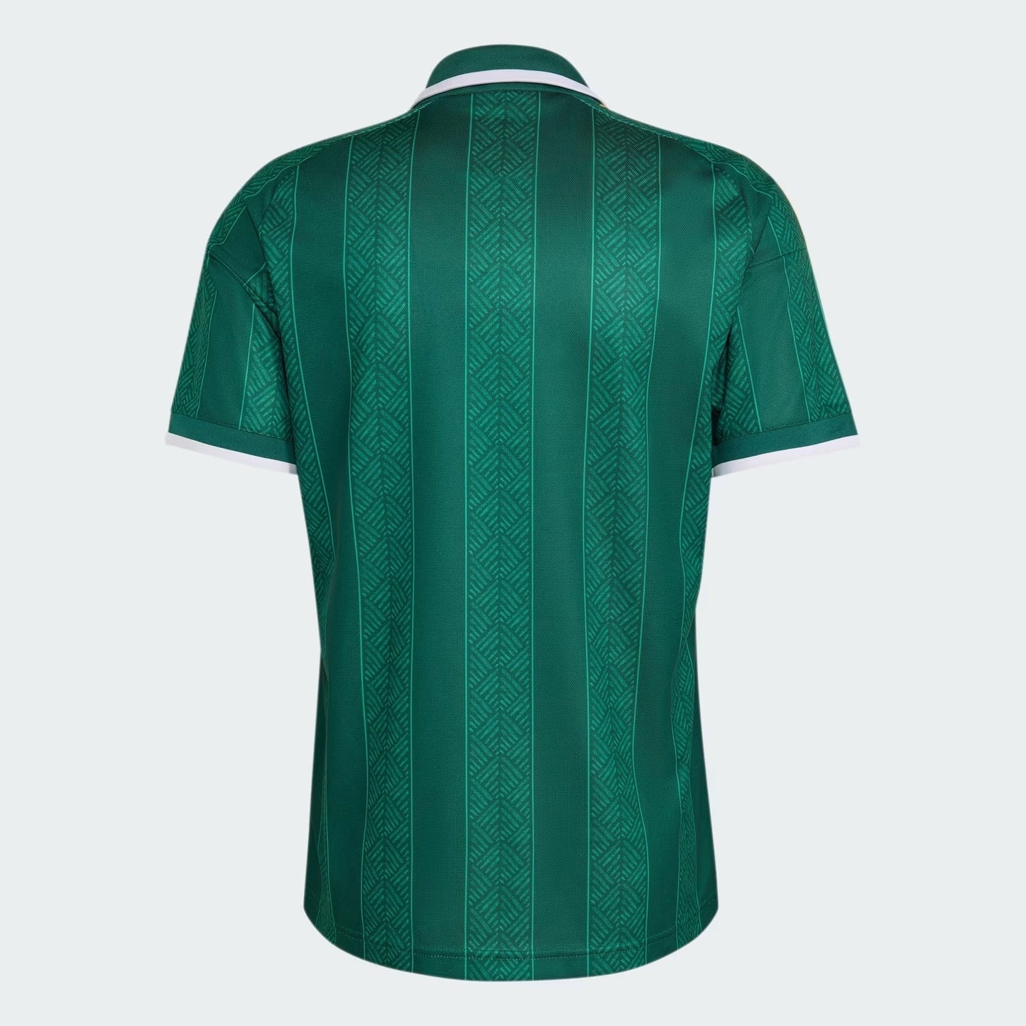 Camisa África do Sul 2026/27 I — imagem 6