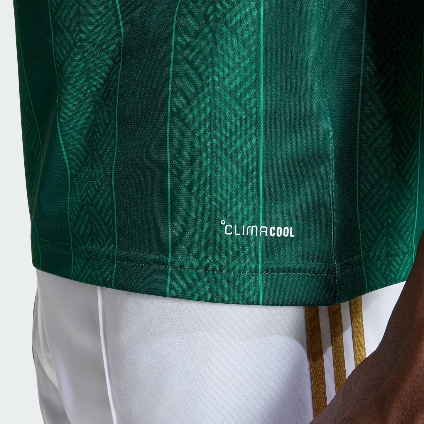 Camisa África do Sul 2026/27 I — imagem 3