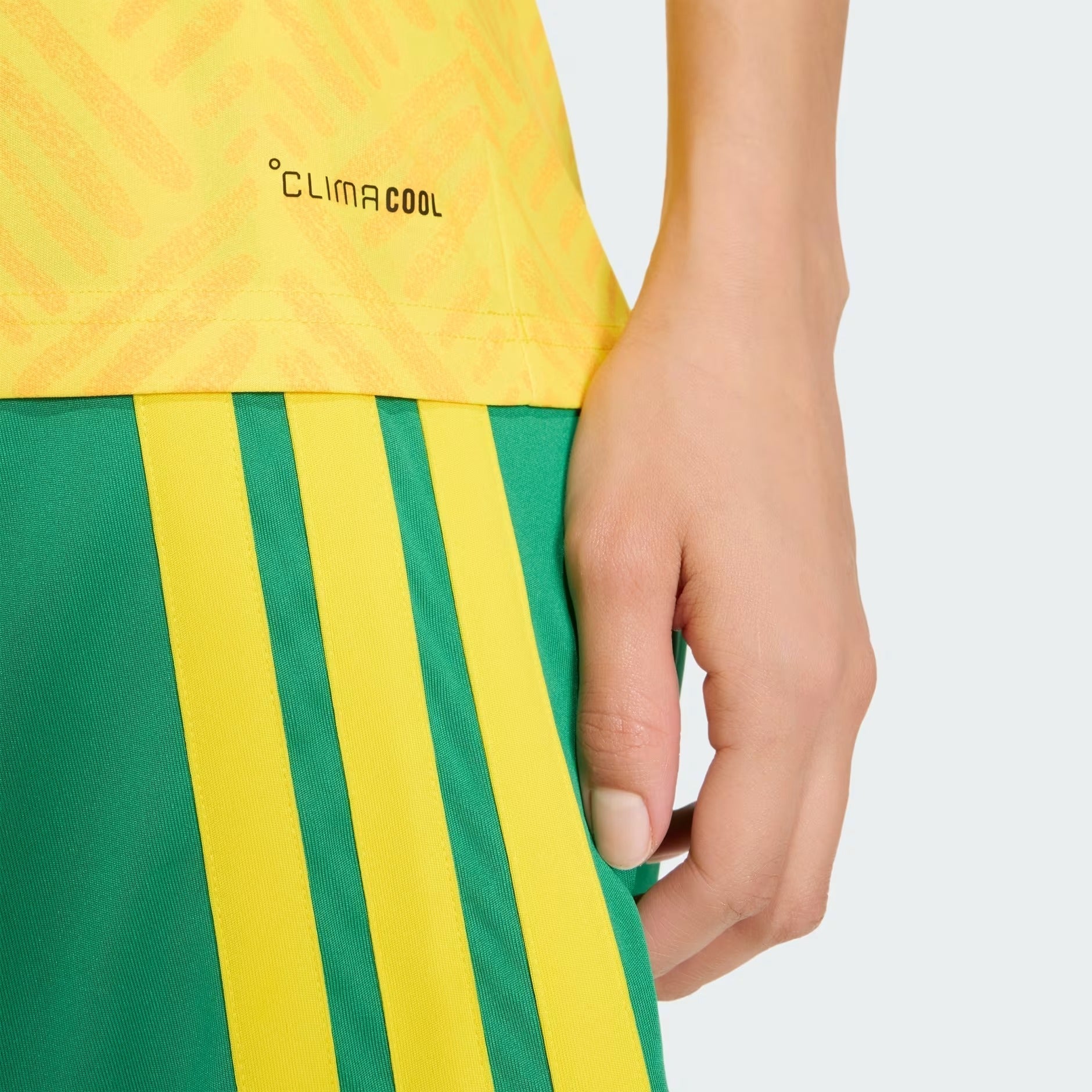 Camisa África do Sul 2026/27 II — imagem 3